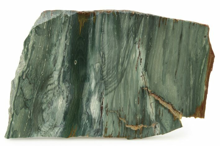 Gary Green Jasper (Larsonite) Bog Wood Slab - Oregon #263360